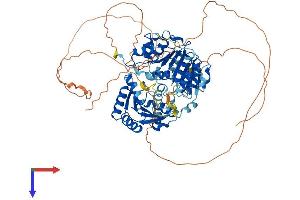 DDX4 Protein (AA 1-702) (His tag)
