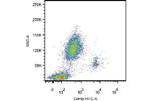 Surface staining of human peripheral blood leukocytes using anti-human CD14 (CD14 Antikörper  (APC))