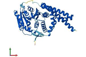 Protein Structure (PS) image for UDP-Glucose Ceramide Glucosyltransferase (UGCG) (AA 1-394) protein (His tag) (ABIN7562650)