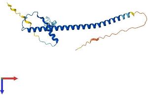 PRKRIP1 Protein (AA 1-186) (His tag)