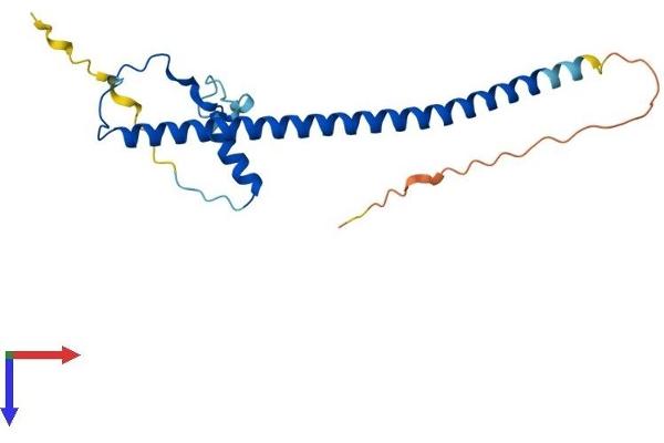 PRKRIP1 Protein (AA 1-186) (His tag)