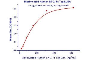 Binding Studies (Bind) image for CD86 (CD86) (AA 26-247) (Active) protein (Fc Tag,AVI tag,Biotin) (ABIN3137664)
