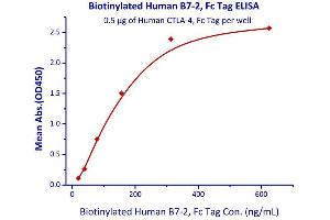 Immobilized Human CTLA-4, Fc Tag  with a linear range of 19-156 ng/mL.