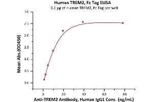 ELISA image for Triggering Receptor Expressed On Myeloid Cells 2 (TREM2) (AA 19-174) (Active) protein (Fc Tag) (ABIN7013683)