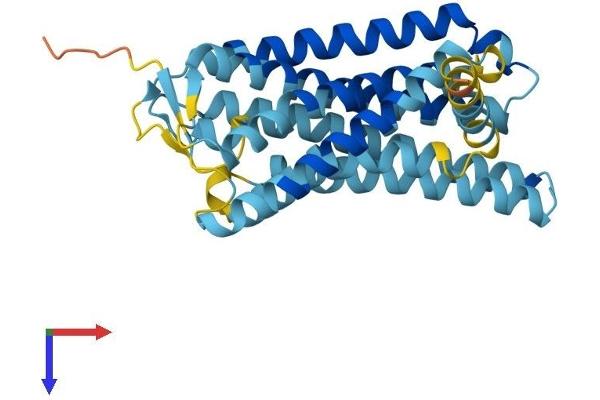 OR12D3 Protein (AA 1-316) (His tag)