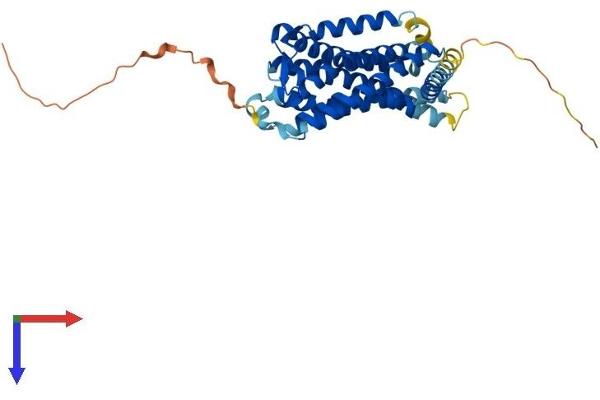 Melatonin Receptor 1B Protein (MTNR1B) (AA 1-364) (His tag)