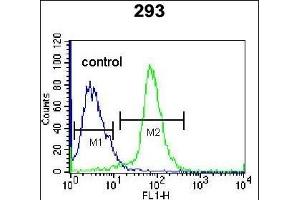 EPGN Antibody (N-term) (ABIN655189 and ABIN2844805) flow cytometric analysis of 293 cells (right histogram) compared to a negative control cell (left histogram). (Epigen Antikörper  (N-Term))