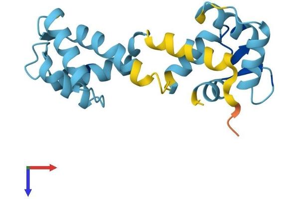 CABP5 Protein (AA 1-173) (His tag)