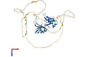 DAZAP1 Protein (AA 1-407) (His tag)
