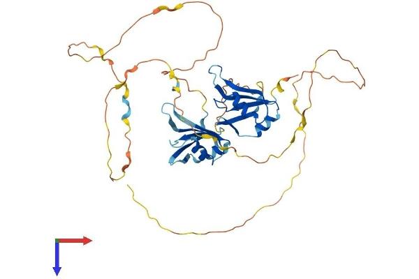 DAZAP1 Protein (AA 1-407) (His tag)