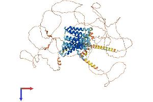 SLC24A1 Protein (AA 1-1099) (His tag)