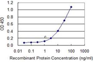 Detection limit for recombinant GST tagged C9orf103 is 0. (IdnK Antikörper  (AA 41-141))