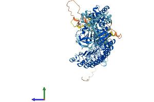 AlphaFold protein structure predicition of Mouse Recombinant Nod1 Protein, UniprotID Q8BHB0