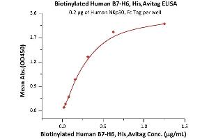 Immobilized Human NKp30, Fc Tag (ABIN2181533,ABIN2181532) at 2 μg/mL (100 μL/well) can bind Biotinylated Human B7-H6, His,Avitag (ABIN5674584,ABIN6253689) with a linear range of 0. (B7-H6 Protein (AA 25-262) (His tag,AVI tag,Biotin))
