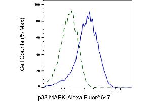 Validation of p38 MAPK knockdown using flow cytometry. (Rekombinanter MAPK14 Antikörper)