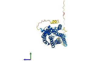 Protein Structure (PS) image for Cysteinyl Leukotriene Receptor 2 (CYSLTR2) (AA 1-346) protein (His tag) (ABIN7546535)
