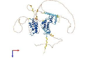 BRD3 Protein (AA 1-726) (His tag)