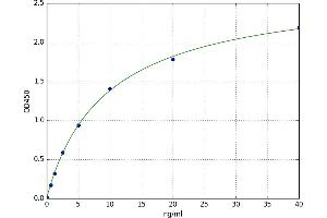A typical standard curve (HDAC8 ELISA Kit)
