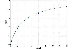 Histone Deacetylase 8 (HDAC8) ELISA Kit
