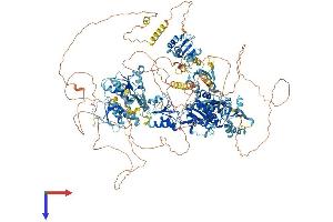 TOPBP1 Protein (AA 1-1515) (His tag)