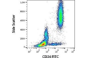 Flow cytometry surface staining pattern of human peripheral whole blood stained using anti-human CD24 (SN3) FITC antibody (20 μL reagent / 100 μL of peripheral whole blood).
