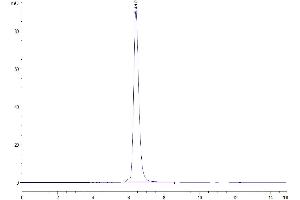 Size-exclusion chromatography-High Pressure Liquid Chromatography (SEC-HPLC) image for Leukocyte-Associated Immunoglobulin-Like Receptor 1 (LAIR1) (AA 22-163) protein (Fc Tag) (ABIN7275117)