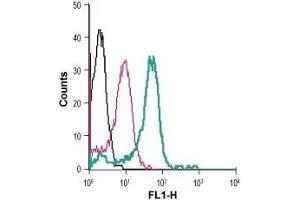 Flow Cytometry (FACS) image for anti-Calcium-Sensing Receptor (CASR) (AA 216-229), (Extracellular) antibody (FITC) (ABIN7043019)
