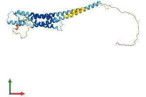 Protein Structure (PS) image for Outer Dense Fiber of Sperm Tails 4 (ODF4) (AA 1-290) protein (His tag) (ABIN7559953)