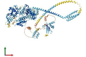 Protein Structure (PS) image for Myosin VI (MYO6) (AA 1-1294) protein (His tag) (ABIN7554695)