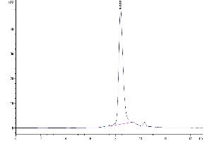 The purity of Human B7-H7 is greater than 95 % as determined by SEC-HPLC. (HHLA2 Protein (AA 23-344) (His tag))