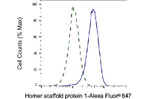 Validation of Homer scaffold protein 1 knockdown using flow cytometry.