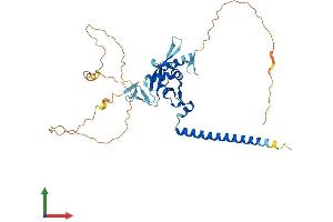 Protein Structure (PS) image for Ras Association Domain-Containing Protein 6 (RASSF6) (AA 1-369) protein (His tag) (ABIN7551184)