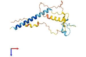 C3orf24 Protein (AA 1-178) (His tag)