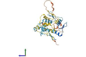 AlphaFold protein structure predicition of Human Recombinant ZNF705G Protein, UniprotID A8MUZ8