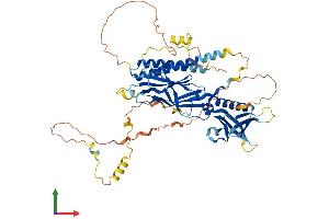 AlphaFold protein structure predicition of Human Recombinant RTKN Protein, UniprotID Q9BST9 (Rhotekin Protein (RTKN) (AA 1-563) (His tag))