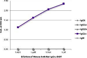 ELISA plate was coated with purified rat IgG1, IgG2a, IgG2b, IgG2c, and IgM. (Maus anti-Ratte IgG2c Antikörper (Biotin))