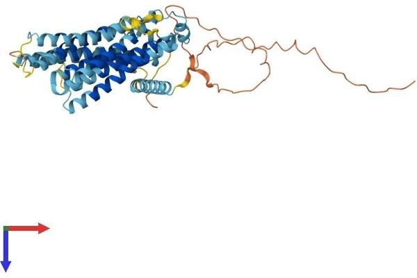 TMEM184C Protein (AA 1-438) (His tag)