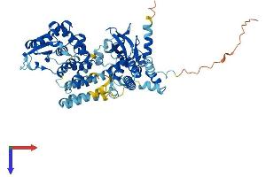 FBXO21 Protein (AA 1-628) (His tag)