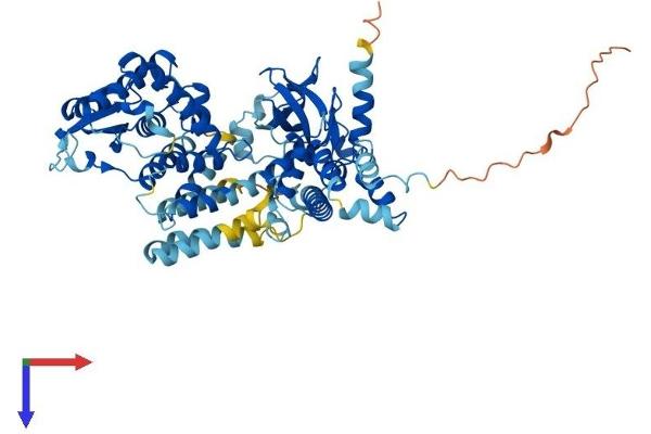 FBXO21 Protein (AA 1-628) (His tag)