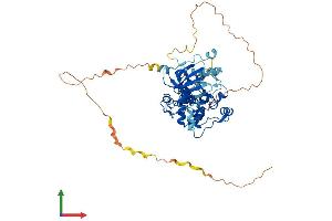 Protein Structure (PS) image for Ribosomal Protein S6 Kinase, 70kDa, Polypeptide 2 (RPS6KB2) (AA 1-485) protein (His tag) (ABIN7556388)