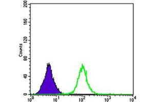 Flow cytometric analysis of serun using APOB monoclonal antibody, clone 6G6  (green) and negative control (purple).