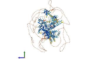 Protein Structure (PS) image for Dynamin Binding Protein (DNMBP) (AA 1-1580) protein (His tag) (ABIN7564150)