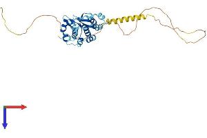 PRPF38A Protein (AA 1-312) (His tag)