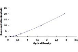 Typical standard curve (TSH receptor ELISA Kit)