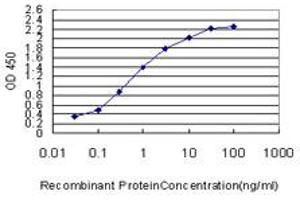 Detection limit for recombinant GST tagged IDH2 is approximately 0. (IDH2 Antikörper  (AA 354-451))