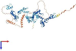ZNF583 Protein (AA 1-569) (His tag)