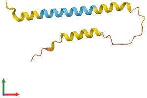 AlphaFold protein structure predicition of Human Recombinant LINC00470 Protein, UniprotID Q9BZP3