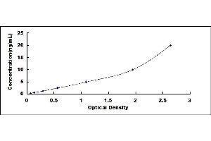 Typical standard curve (DYRK1A ELISA Kit)