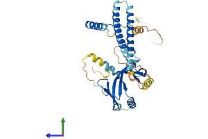 Protein Structure (PS) image for TAF7 RNA Polymerase II, TATA Box Binding Protein (TBP)-Associated Factor, 55kDa (TAF7) (AA 1-349) protein (His tag) (ABIN7544113)