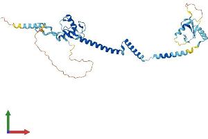 Protein Structure (PS) image for Ring Finger Protein 32 (RNF32) (AA 1-368) protein (His tag) (ABIN7561556)